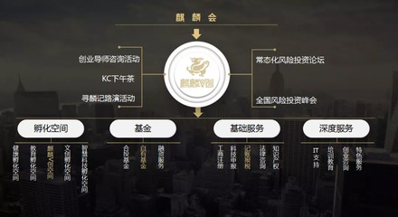 麒麟V創 構建天使投資生態，賦能創業服務新高度